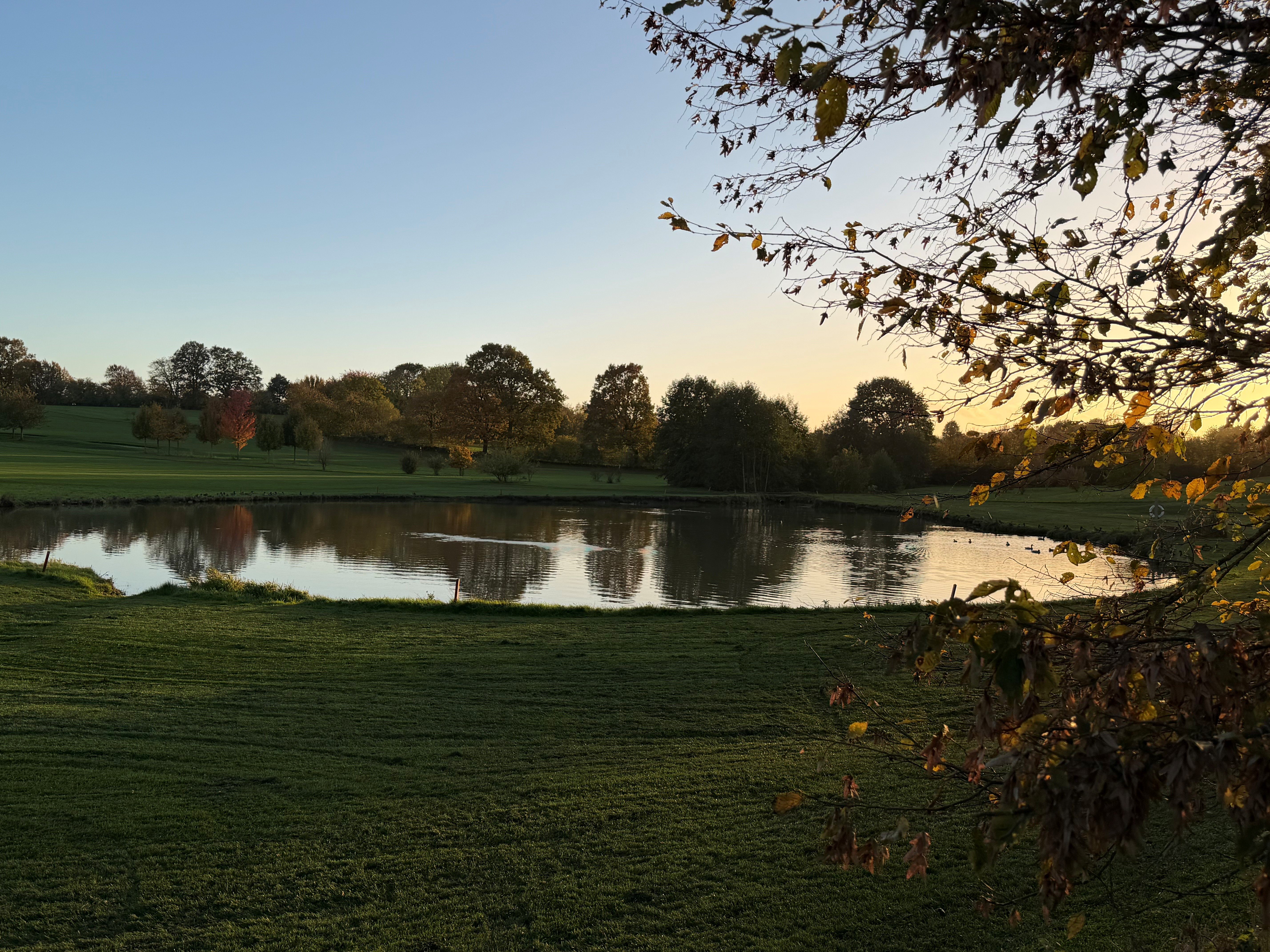 Herbst 4